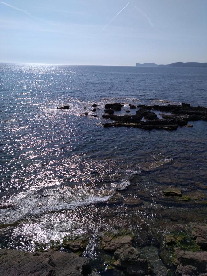 Piazza Ginnasio Affittacamere Alghero Eksteriør bilde